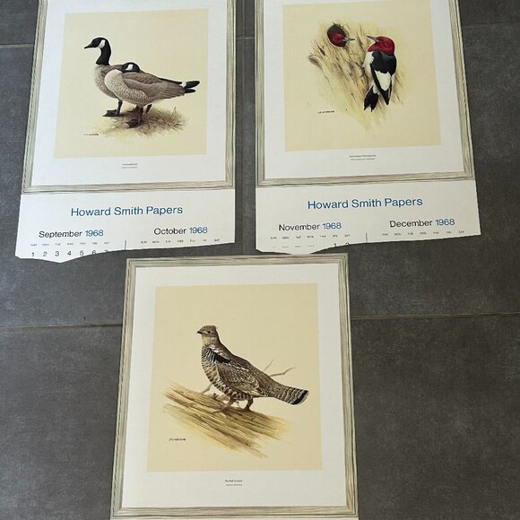 Vintage 1971 & 1972 Calendar Prints J.F. Lansdowne Birds - Picture 9 of 10